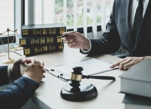 Law Services category